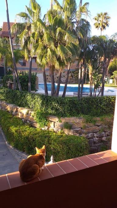 Apartamento Planta Baja Cerca De La Playa Casares Costa Exterior foto